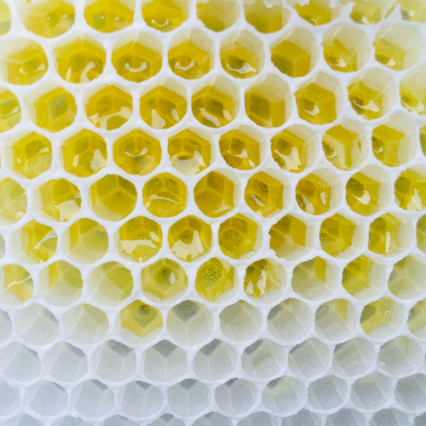 Reinheit von Bienenwachs
