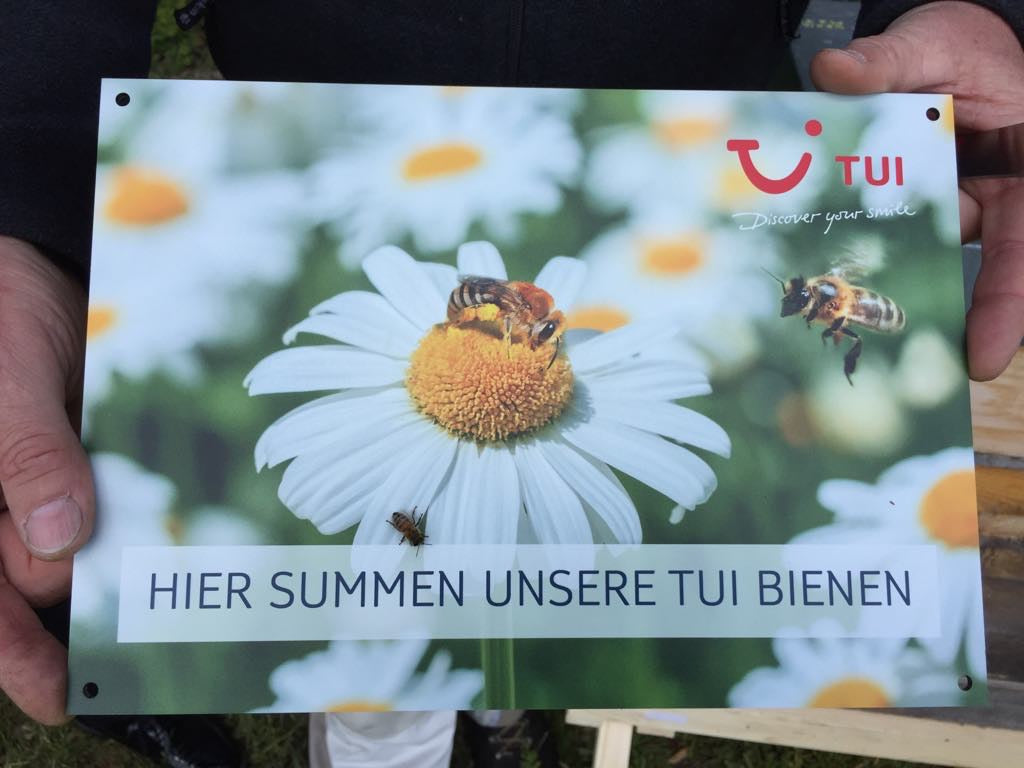 Bio Bienen Leasing