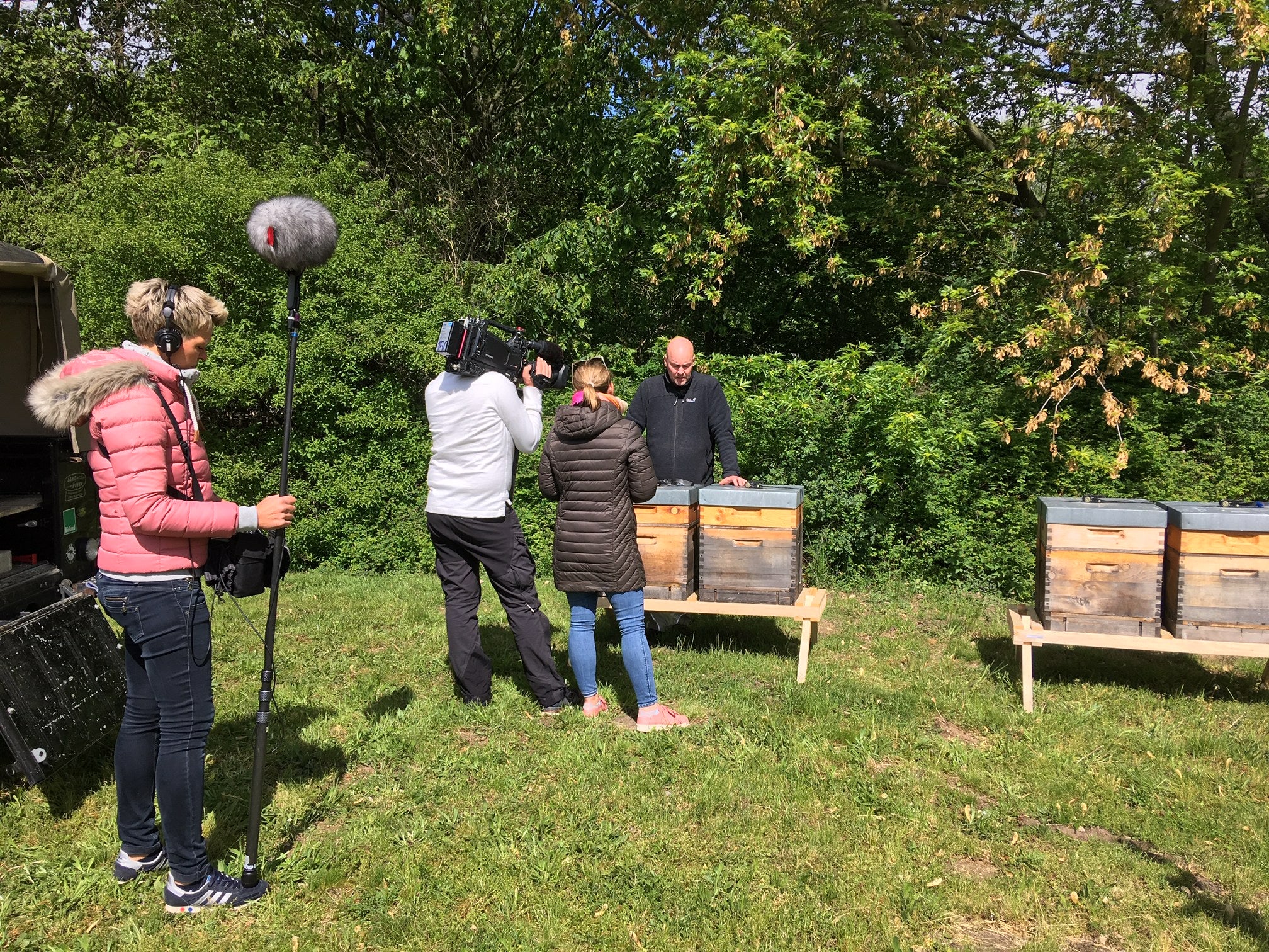 Bio Bienen Leasing