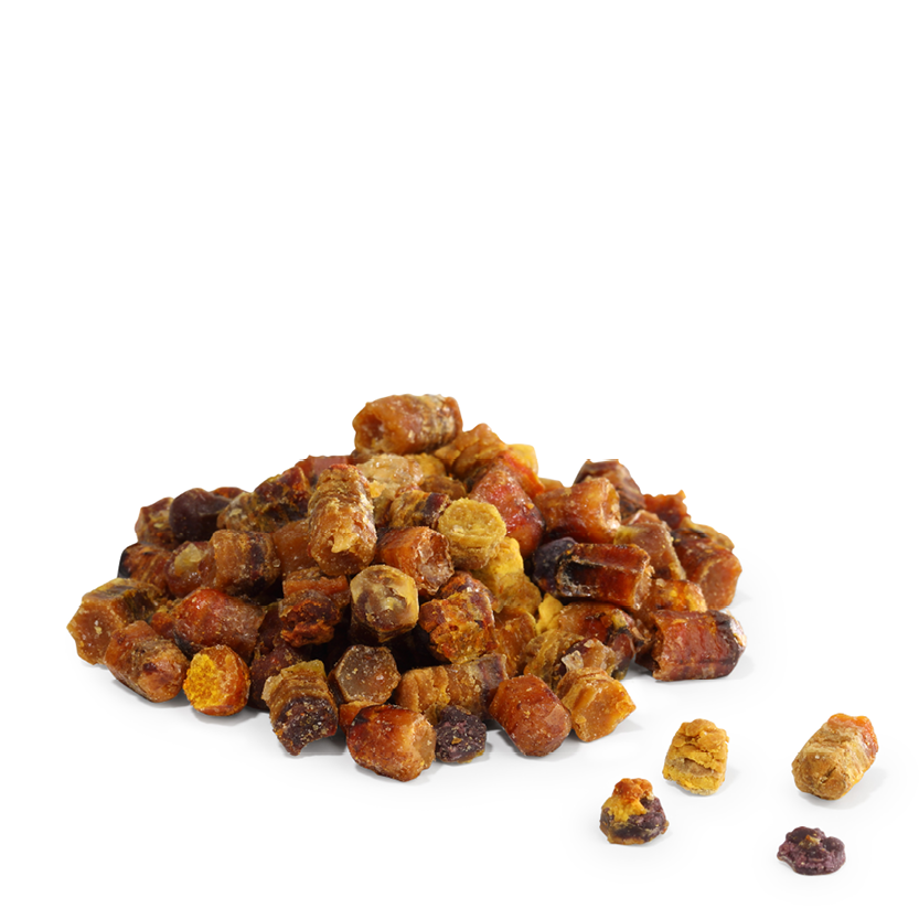 Perga Bienenbrot Perga