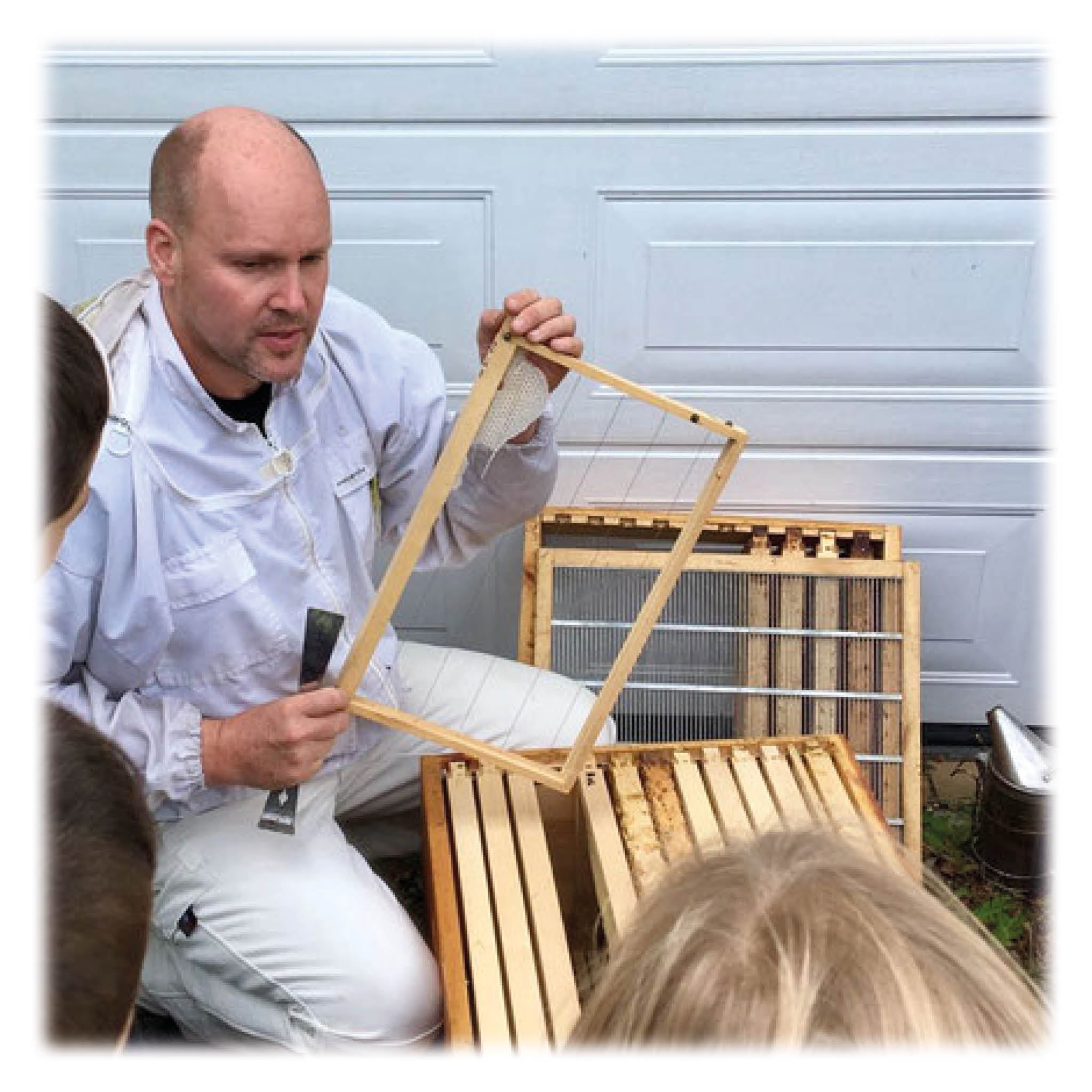 Theorie Imkerei Anfängerkurs 2024